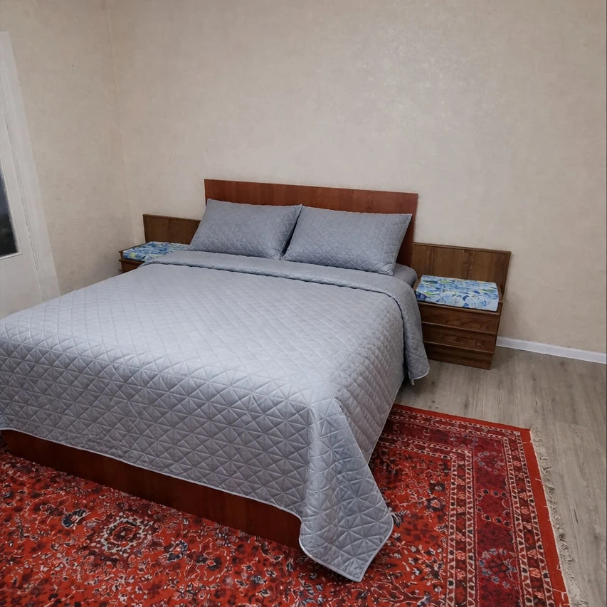 Chișinău, Ciocana, Str. Petru Zadnipru nr.21 Chirie apartament cu 2 odai